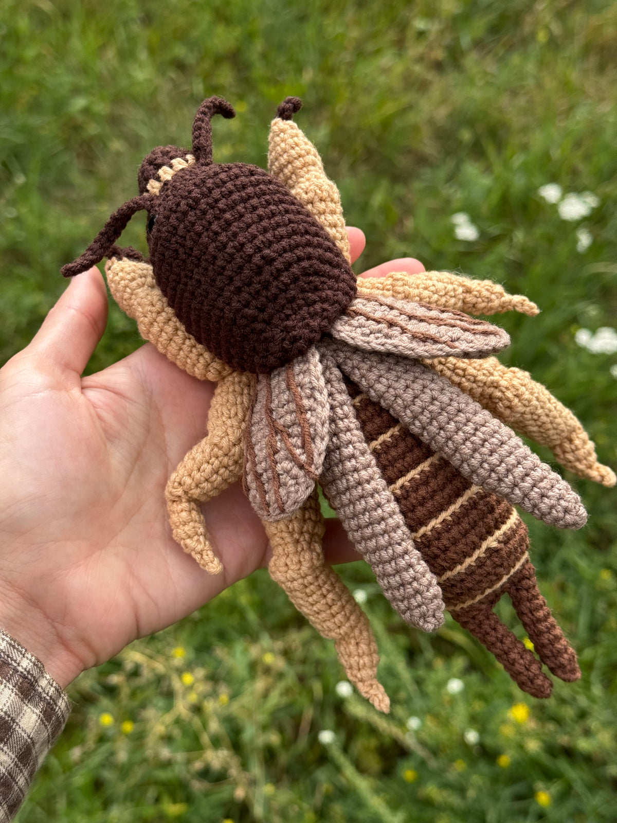 Mole Cricket Crochet Pattern - Realistic Insect Amigurumi PDF