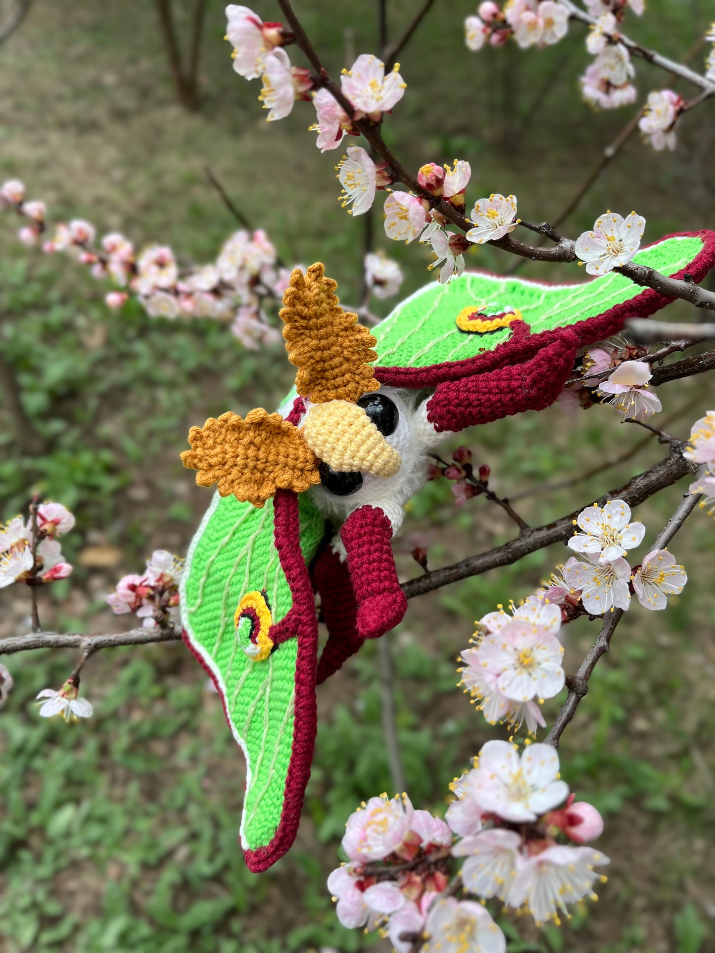 Luna Moth Crochet Pattern, Amigurumi Luna Moth