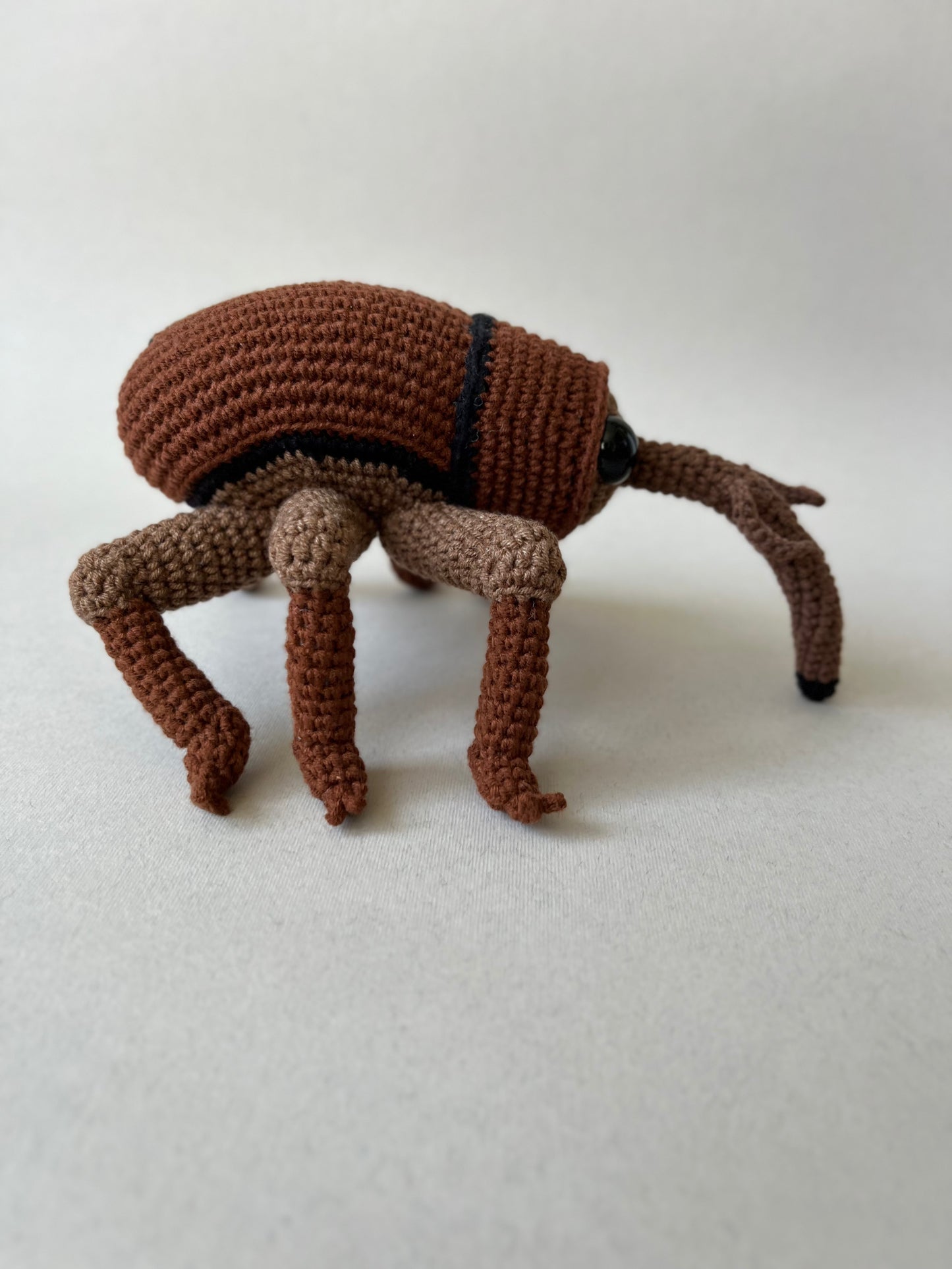 Acorn Weevil Crochet Pattern