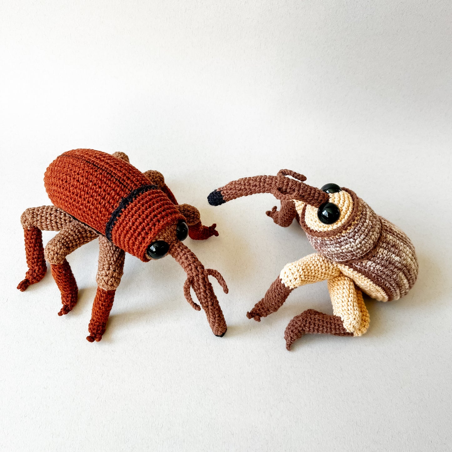 Acorn Weevil Crochet Pattern