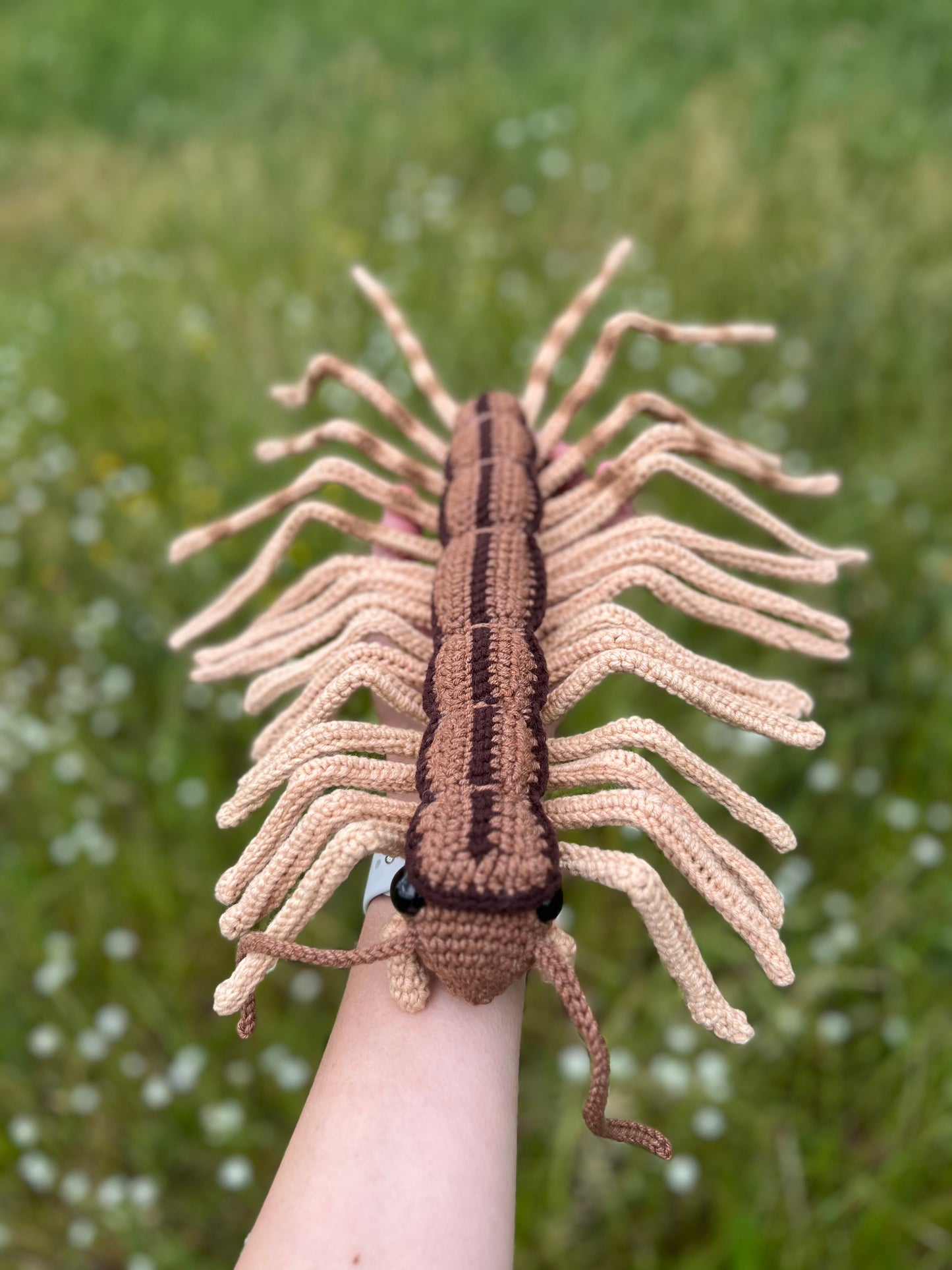 House Centipede Crochet Pattern