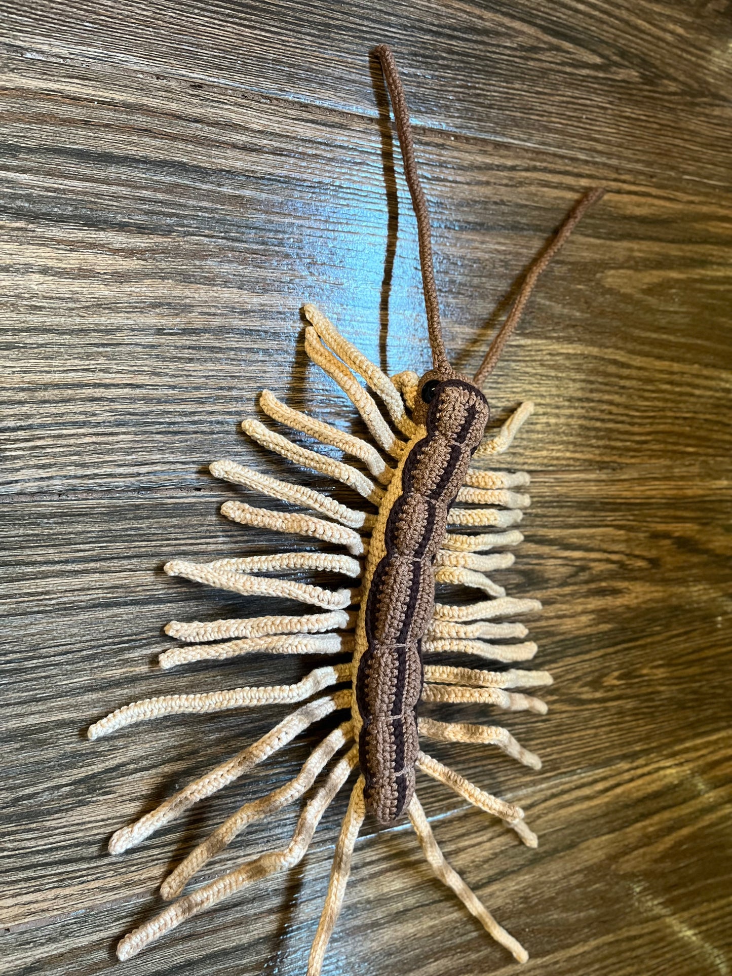 House Centipede Crochet Pattern