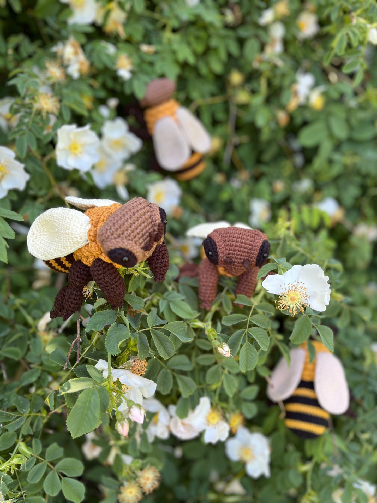 Honey Bee Crochet Pattern, PDF file in English, Amigurumi Bee