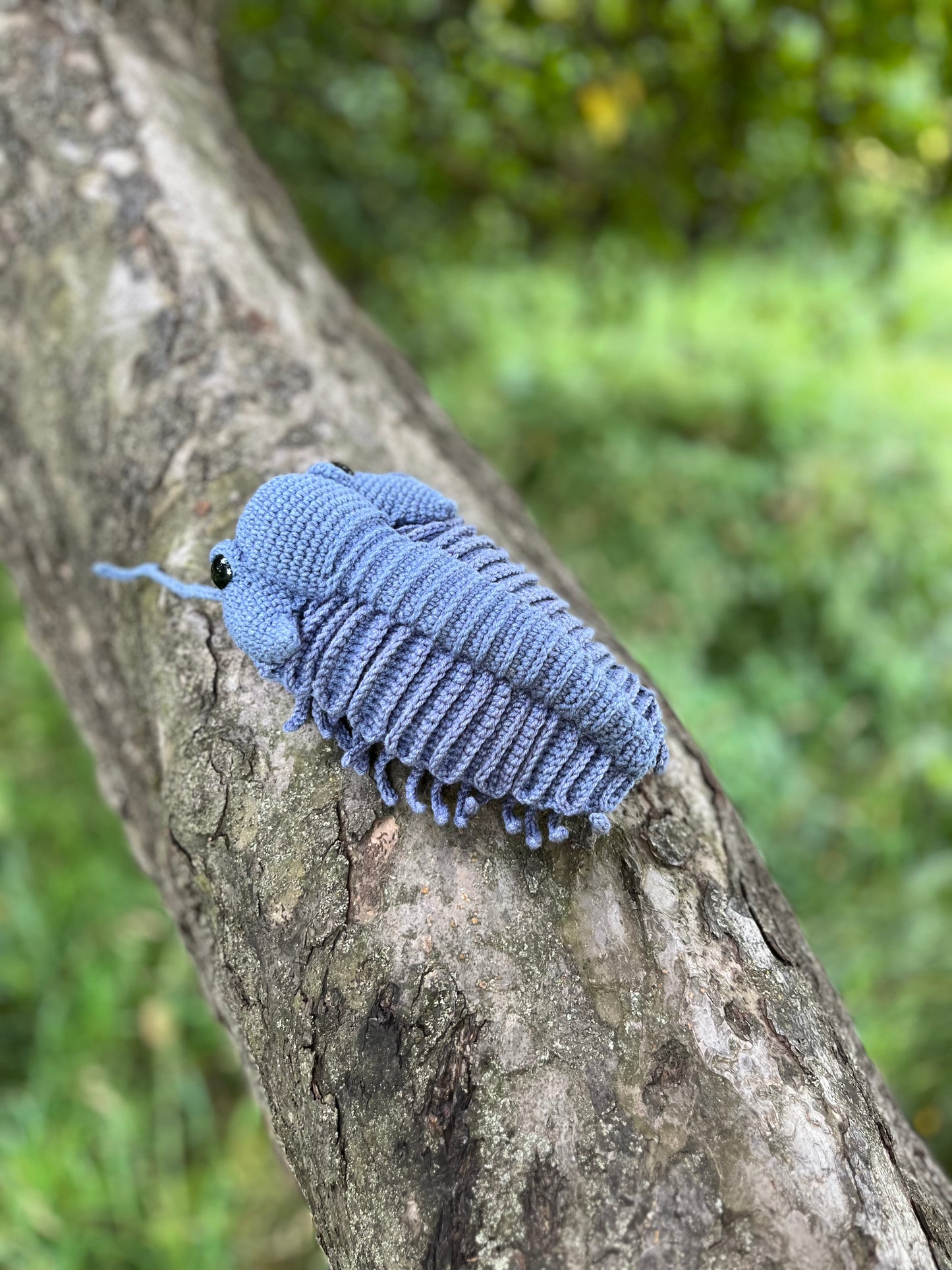 Trilobite Crochet Pattern, Amigurumi Trilobite, PDF file in English