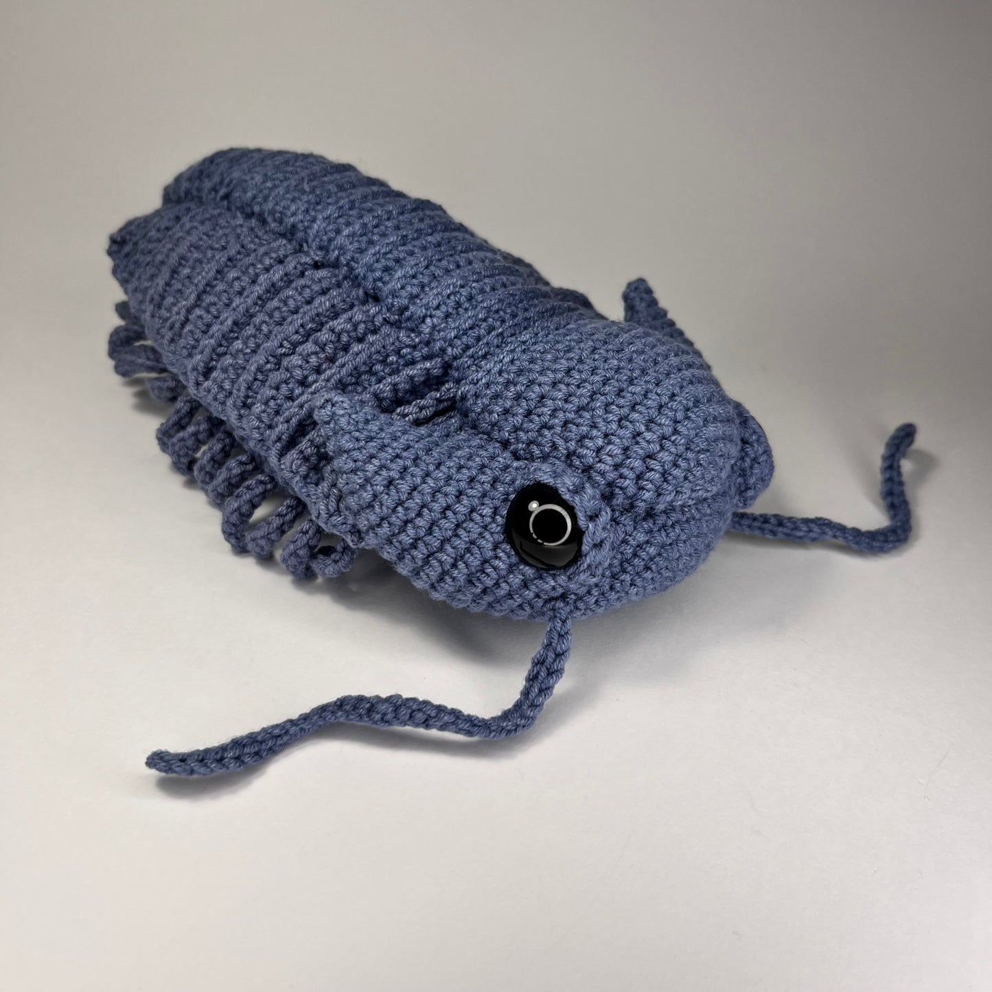 Trilobite Crochet Pattern, Amigurumi Trilobite, PDF file in English