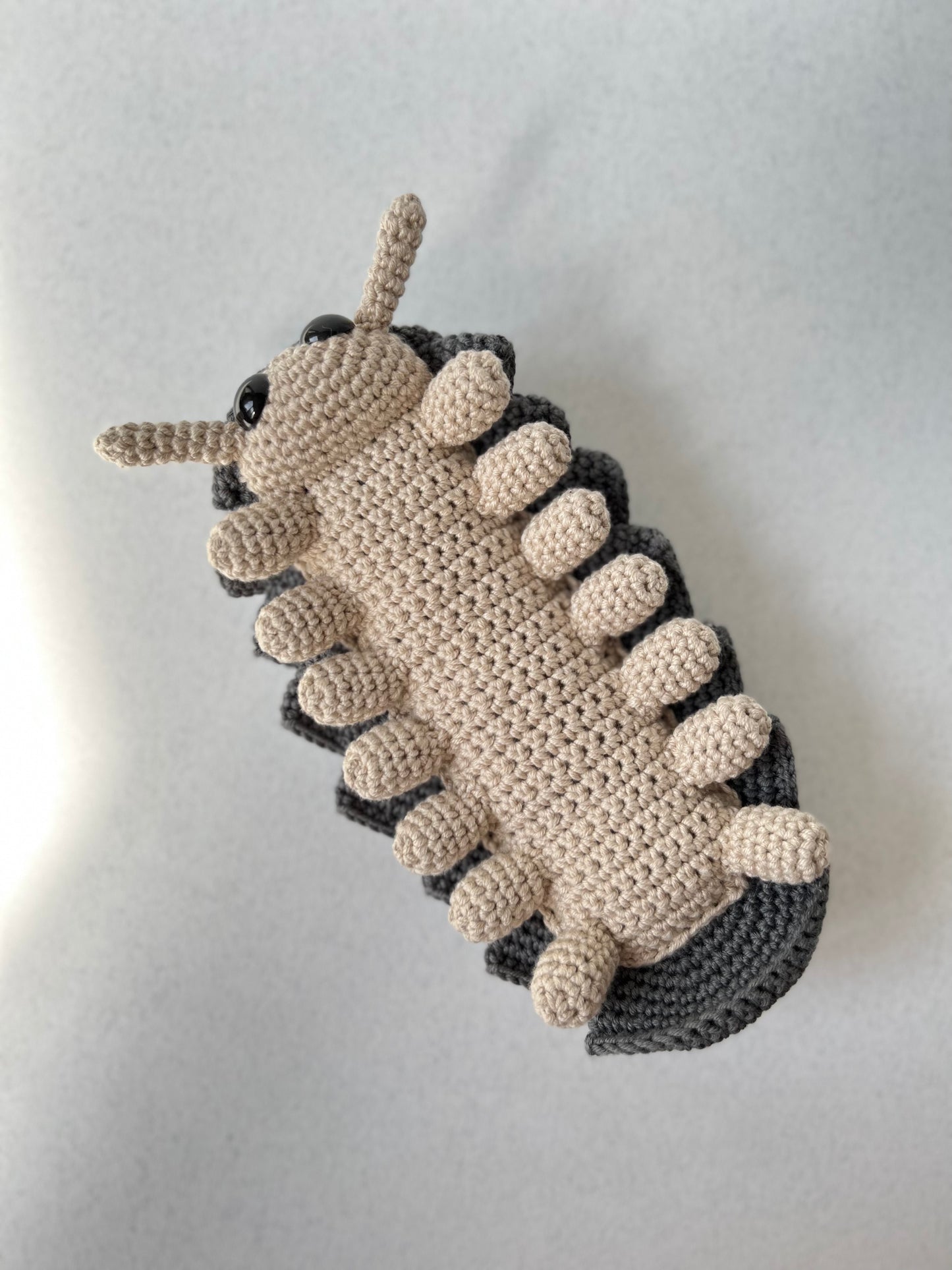 Roly Poly Pill Bug Crochet Pattern, Isopod Amigurumi, PDF File in English Language