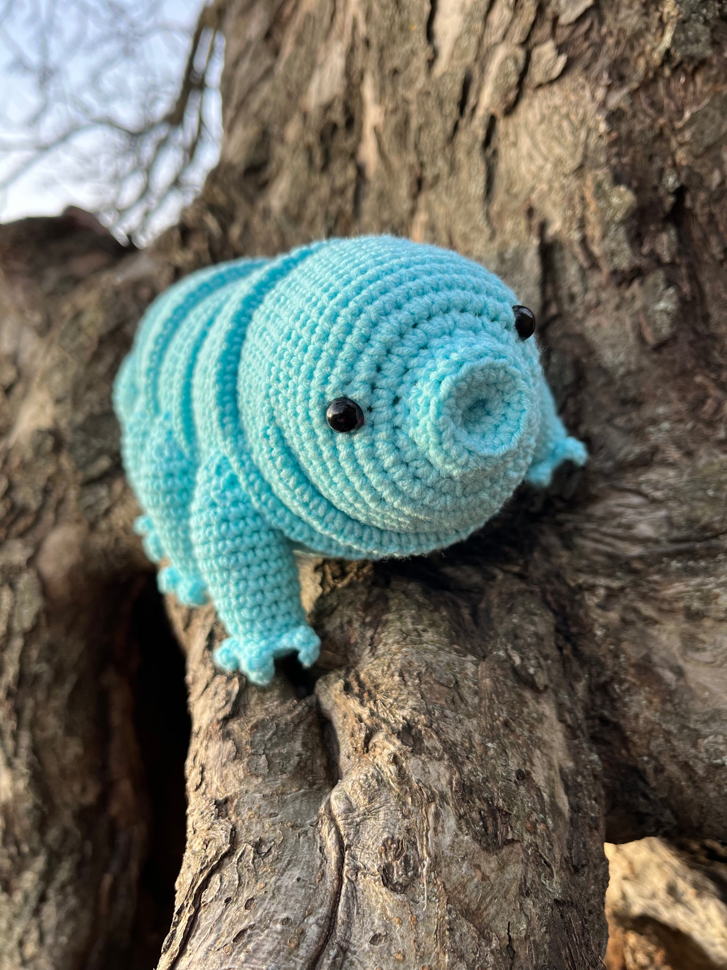 Tardigrade or Water Bear Amigurumi Crochet Pattern, PDF file in English language
