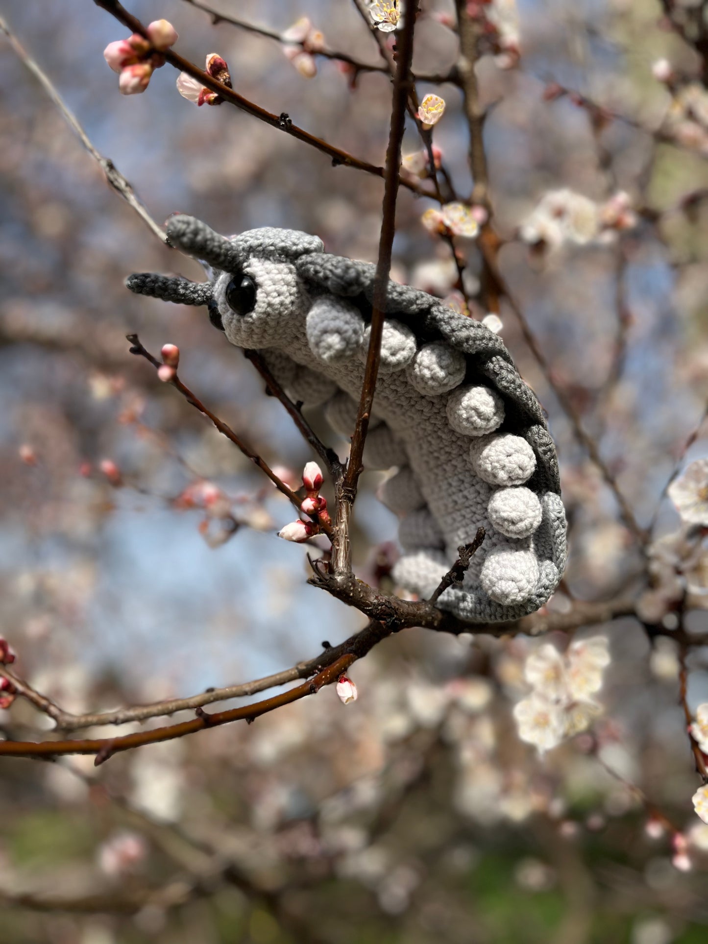 Roly Poly Pill Bug Crochet Pattern, Isopod Amigurumi, PDF File in English Language
