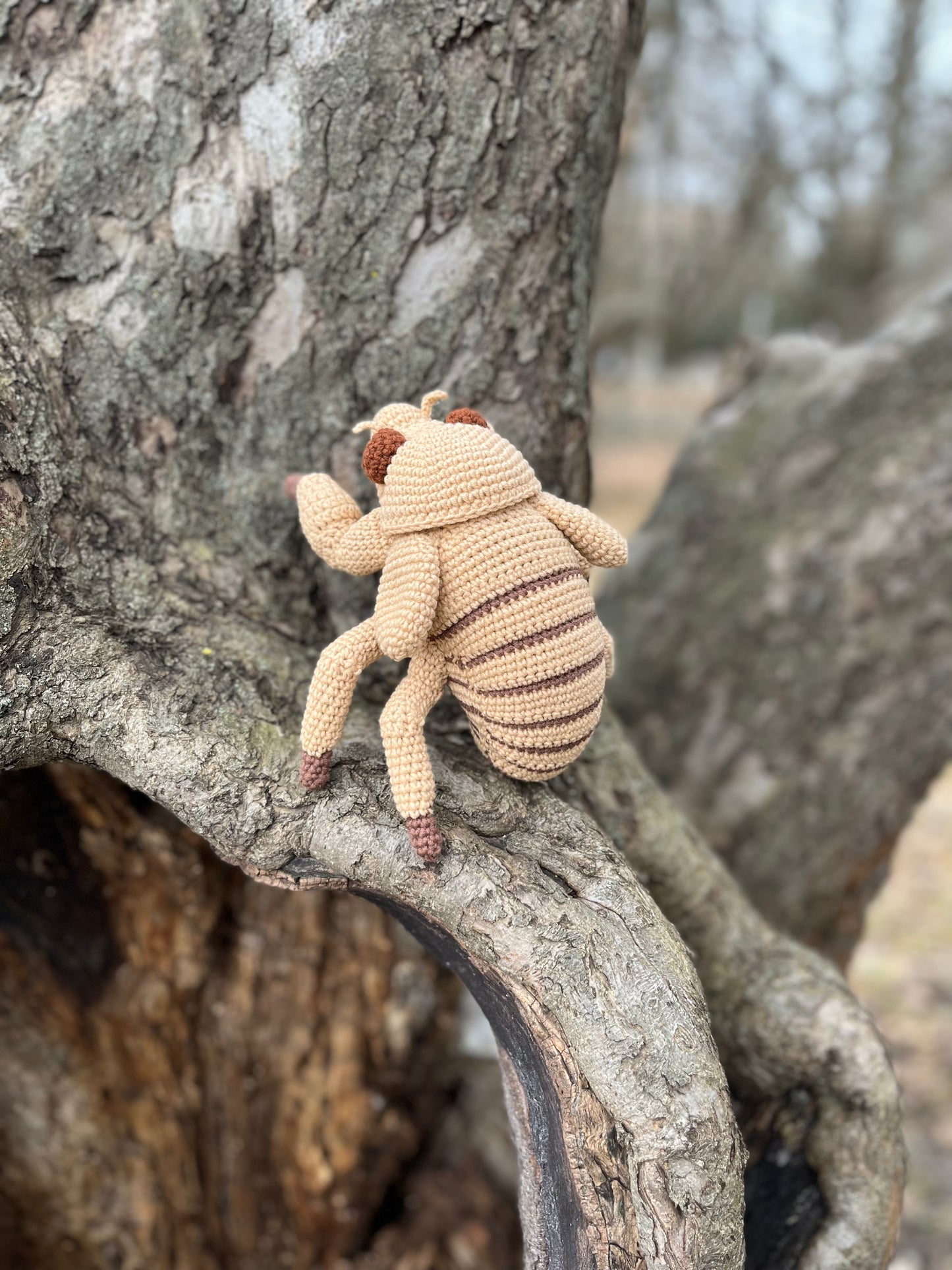 Cicada Nymph Crochet Pattern, Amigurumi Cicada Nymph Tutorial