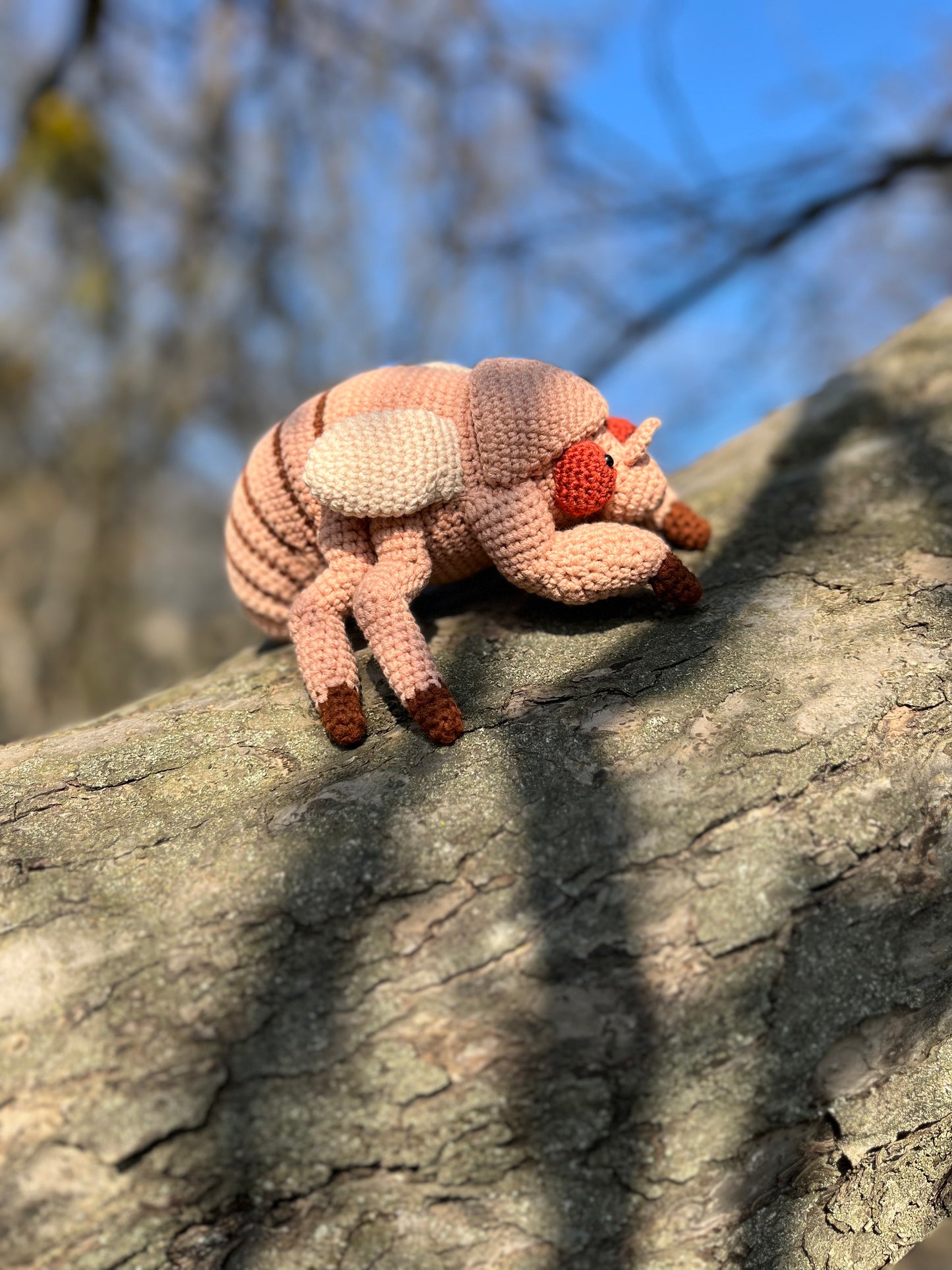 Cicada Nymph Crochet Pattern, Amigurumi Cicada Nymph Tutorial
