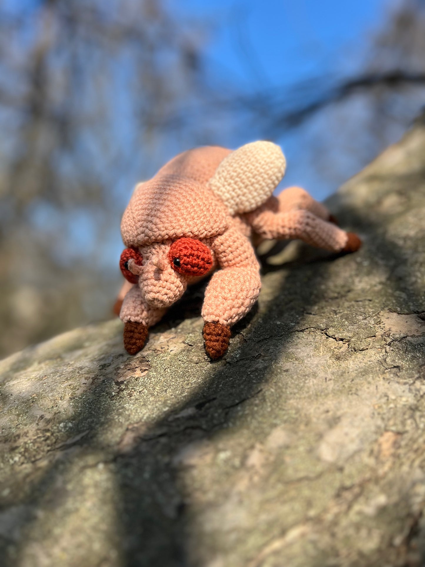 Cicada Nymph Crochet Pattern, Amigurumi Cicada Nymph Tutorial