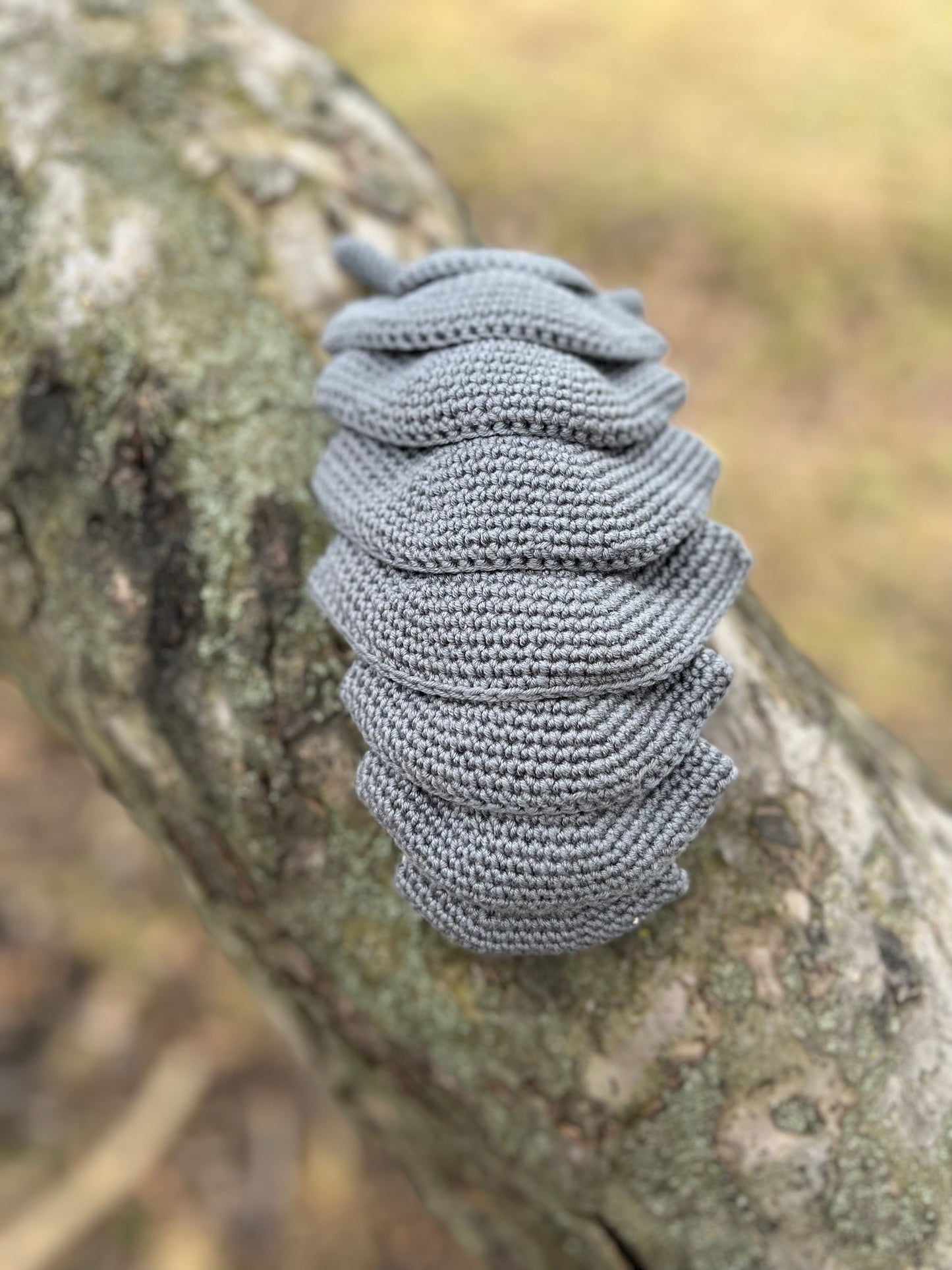 Roly Poly Pill Bug Crochet Pattern, Isopod Amigurumi, PDF File in English Language