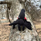 Giraffe Weevil Crochet Pattern, Amigurumi Weevil Titorial in English