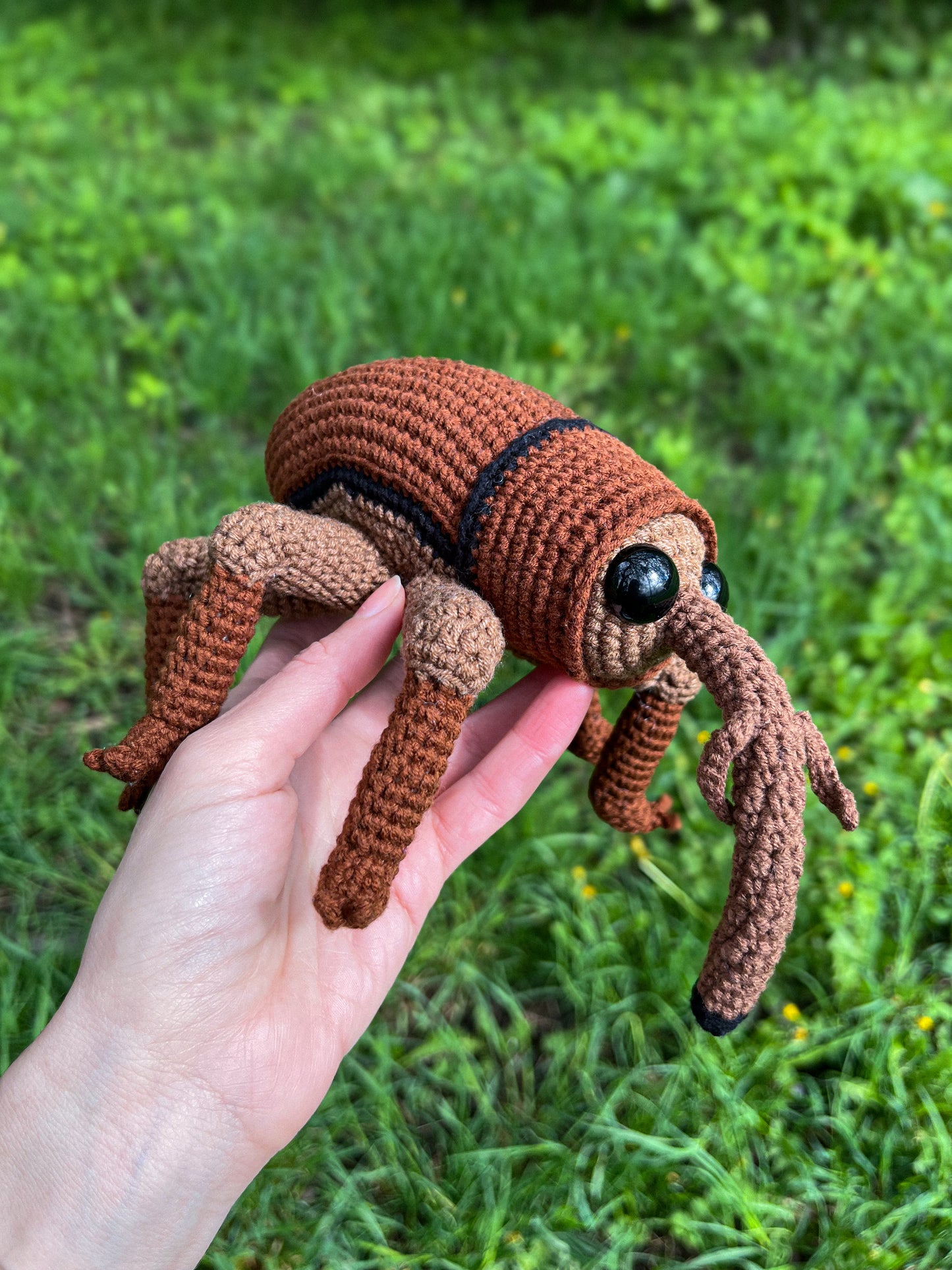 Acorn Weevil Crochet Pattern — Beetle Amigurumi PDF in English