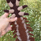 Hellgrammite Crochet Pattern PDF — Dobsonfly Larvae Amigurumi
