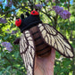 Cicada Crochet Pattern — Insect Amigurumi PDF in English