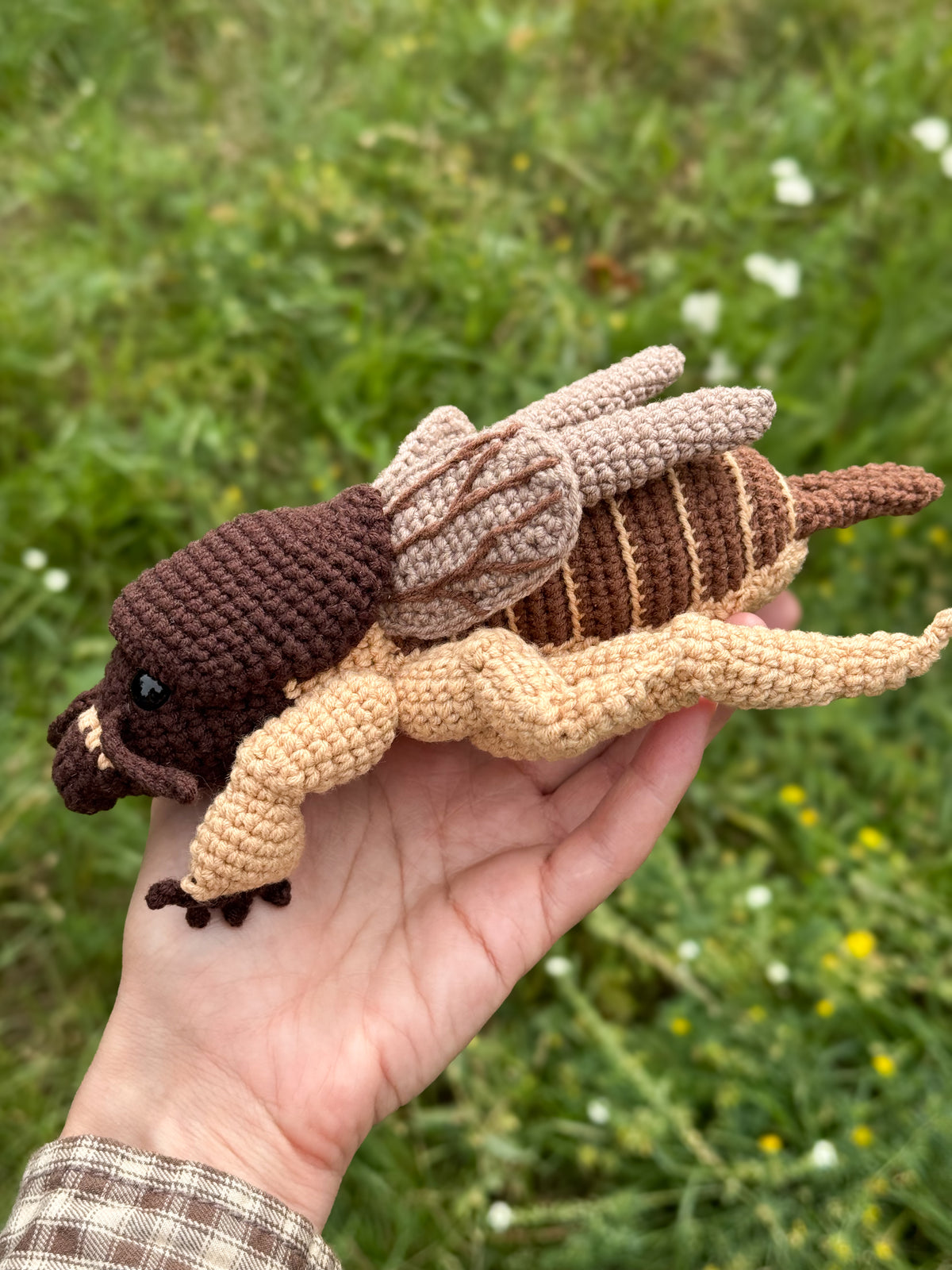 Mole Cricket Crochet Pattern - Realistic Insect Amigurumi PDF
