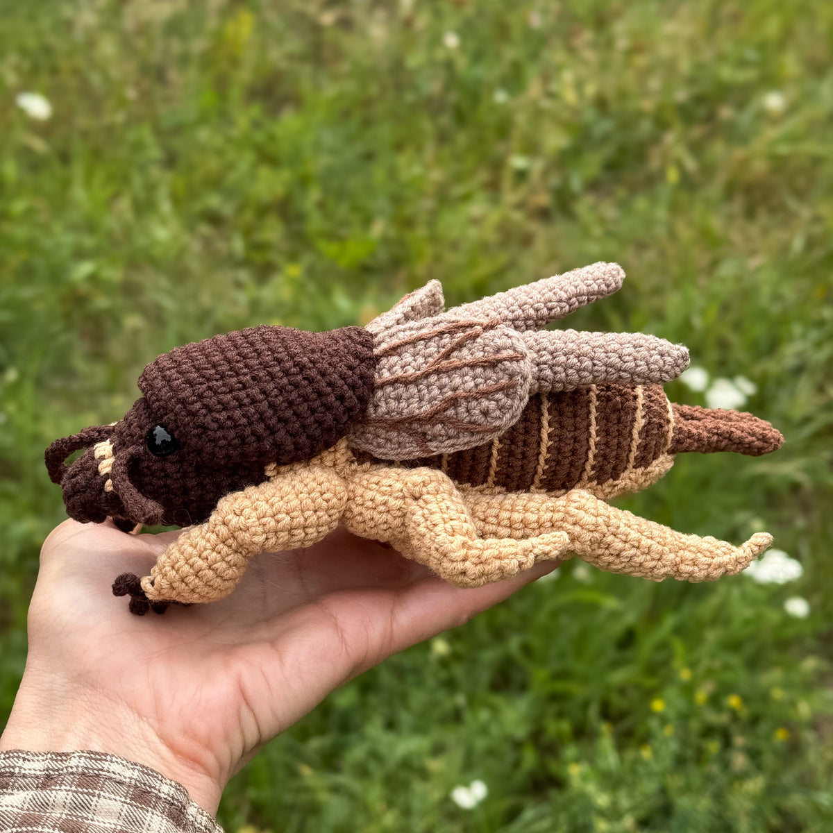 Mole Cricket Crochet Pattern - Realistic Insect Amigurumi PDF