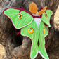 Luna Moth Crochet Pattern, Amigurumi Luna Moth