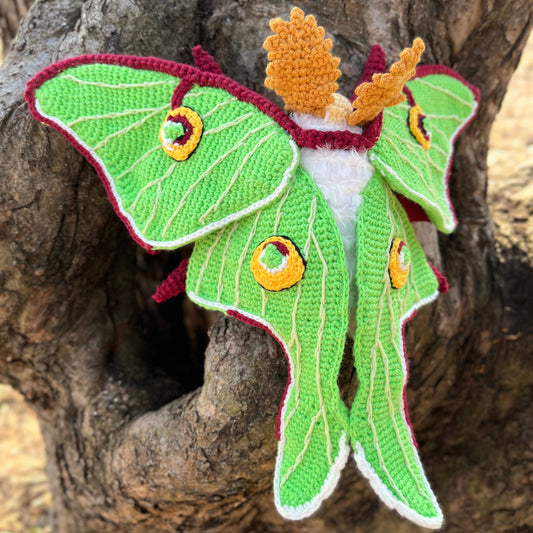 Crocheted handmade luna moth with green wings sitting on the tree bark