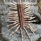 House Centipede Crochet Pattern