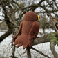 Potoo Bird Crochet Pattern, PDF in English