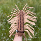 House Centipede Crochet Pattern