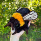 Fuzzy Bumblebee Crochet Pattern in English