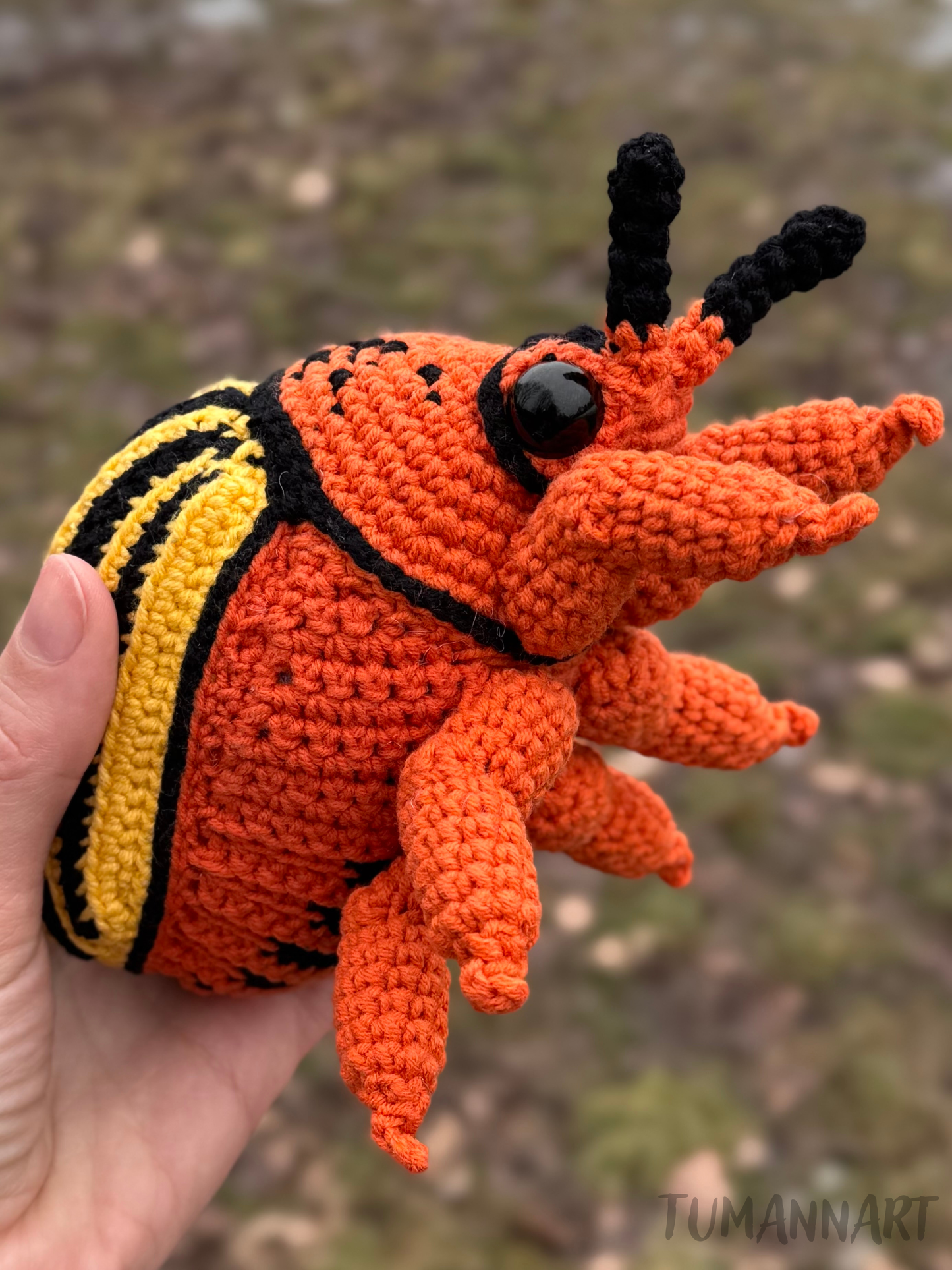 Colorado Beetle crochet pattern - Amigurumi PDF in English