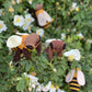 Honey Bee Crochet Pattern, PDF file in English, Amigurumi Bee