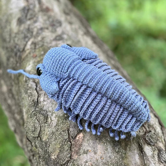 blue trilobite resting on the tree