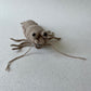 Shrimp or Prawn Crochet Pattern, Amigurumi Shrimp Tutorial