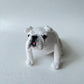 English Bulldog Crochet Pattern, Bulldog Amigurumi Toy, PDF file in English