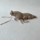 Shrimp or Prawn Crochet Pattern, Amigurumi Shrimp Tutorial