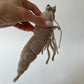 Shrimp or Prawn Crochet Pattern, Amigurumi Shrimp Tutorial