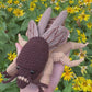Mole Cricket Crochet Pattern - Realistic Insect Amigurumi PDF