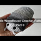 Little Woodlouse Crochet Pattern Video Tutorial