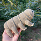Tardigrade or Water Bear Amigurumi Crochet Pattern, PDF file in English language