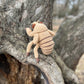 Cicada Nymph Crochet Pattern, Amigurumi Cicada Nymph Tutorial