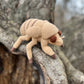 Cicada Nymph Crochet Pattern, Amigurumi Cicada Nymph Tutorial