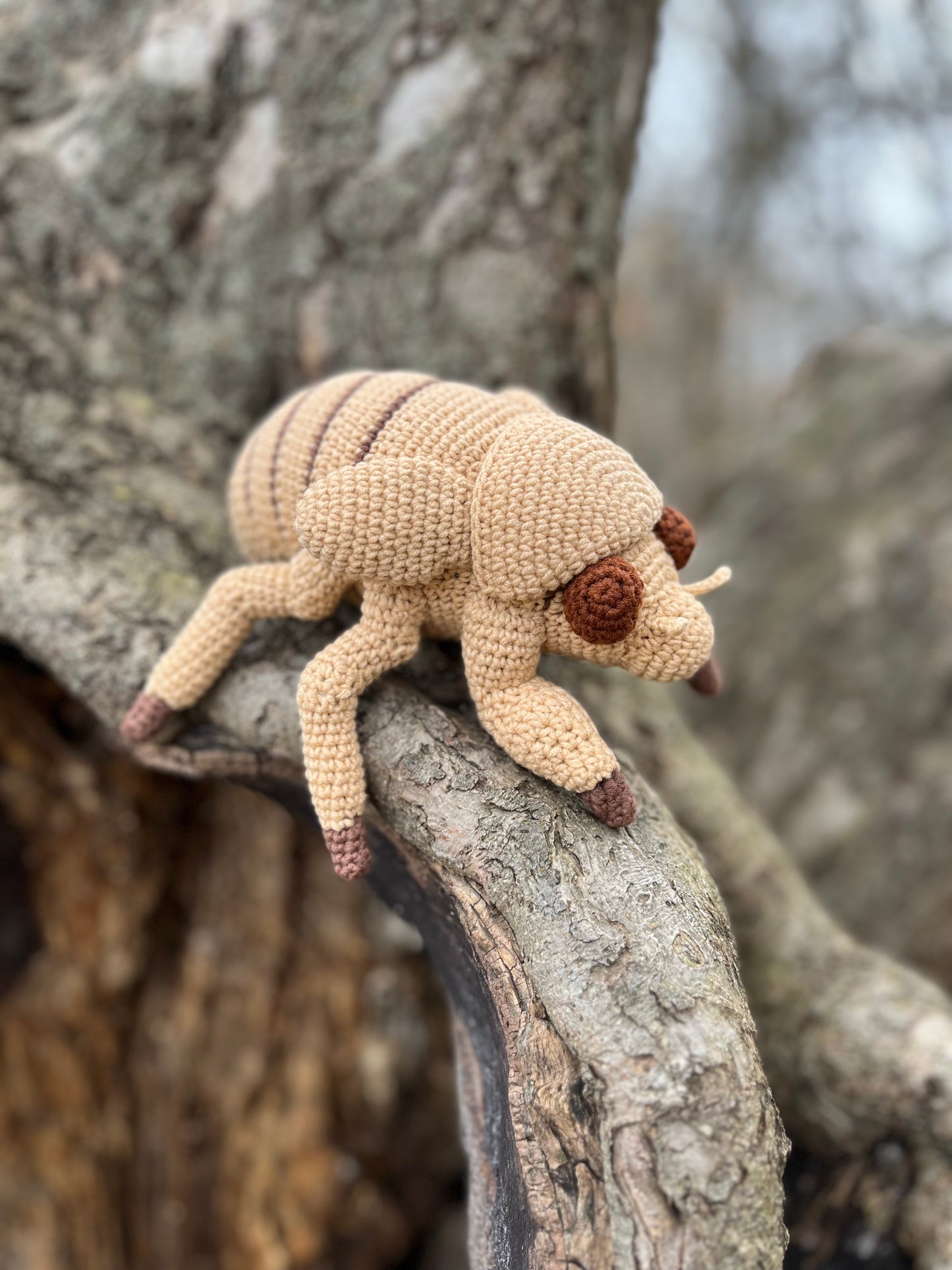 Cicada Nymph Crochet Pattern, Amigurumi Cicada Nymph Tutorial
